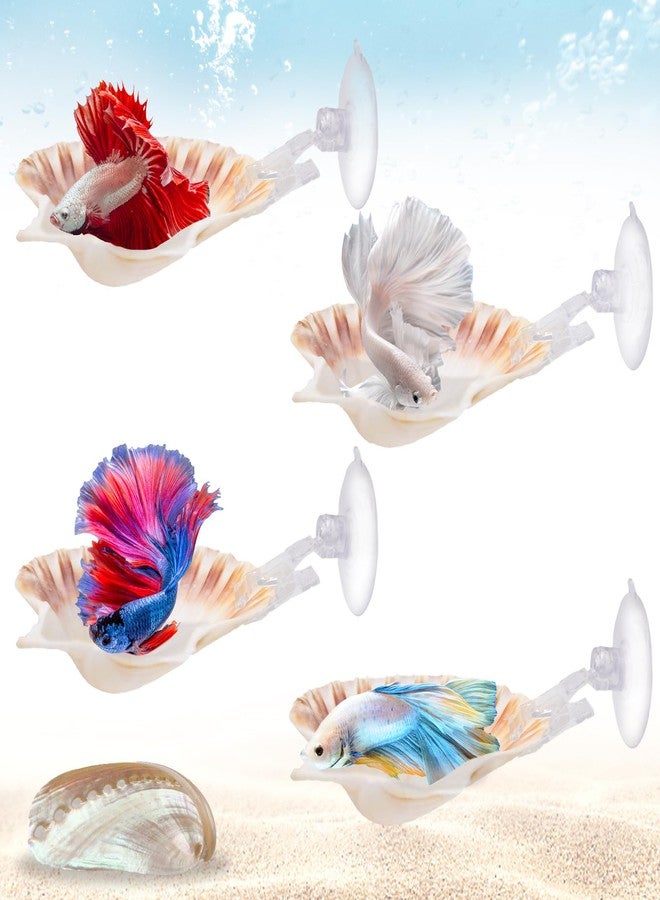 Niuohoy 5 Pcs Betta Fish Bed Shell Hammock Betta Resting Spot with Suction Cups Natural Shell Hideouts & Spawning Grounds for Betta, Shrimp, Cichlid, Small Fish Tank Decorations - Image 1